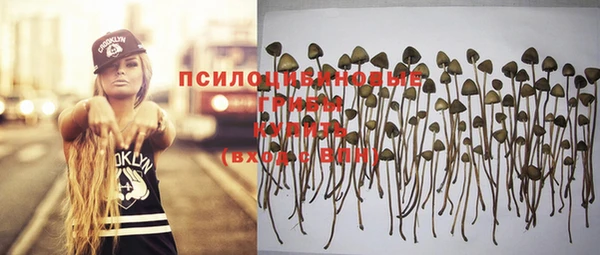 mix Краснослободск